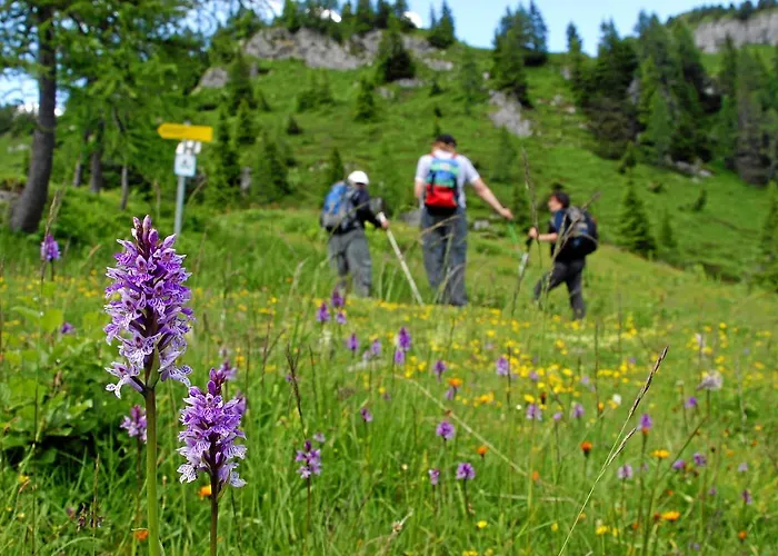 Hotel Pontiller Oberdrauburg